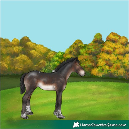 Horse Color:Bay Mushroom Tobiano 