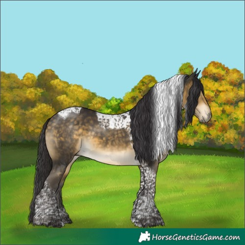 Horse Color:Buckskin Mushroom Tobiano 