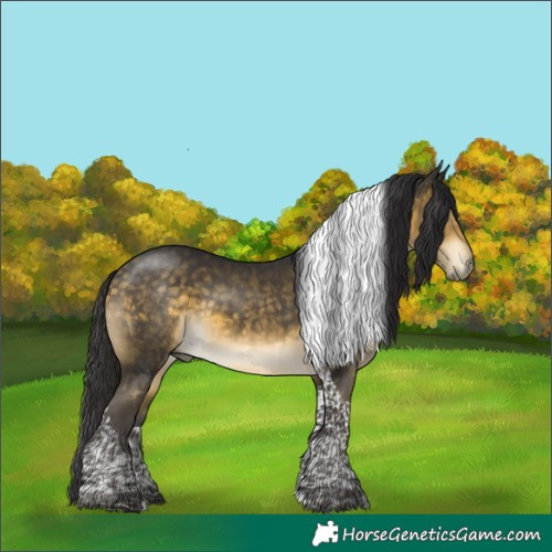 Horse Color:Buckskin Mushroom Tobiano 