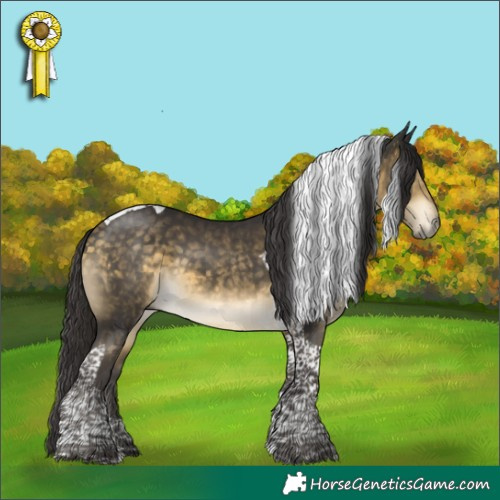Horse Color:Buckskin Mushroom Tobiano 