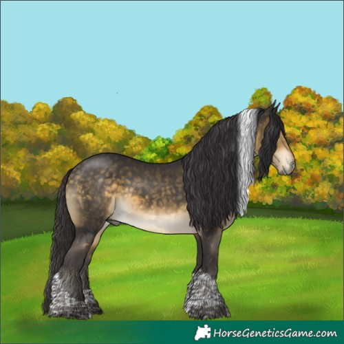 Horse Color:Buckskin Mushroom Tobiano 