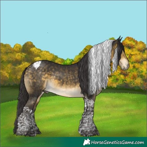 Horse Color:Buckskin Mushroom Tobiano 