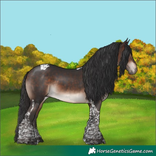 Horse Color:Bay Mushroom Tobiano 