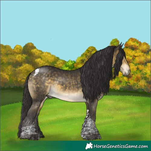 Horse Color:Buckskin Mushroom Tobiano 