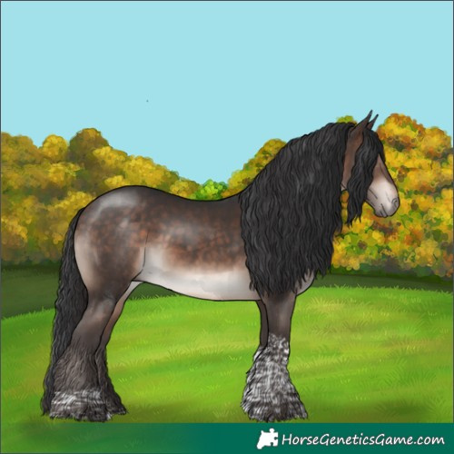 Horse Color:Bay Mushroom Tobiano 