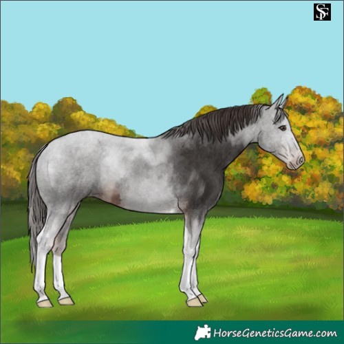 Horse Color:Liver Chestnut Tobiano 