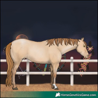 Horse Color:Bay Pearl Dun 