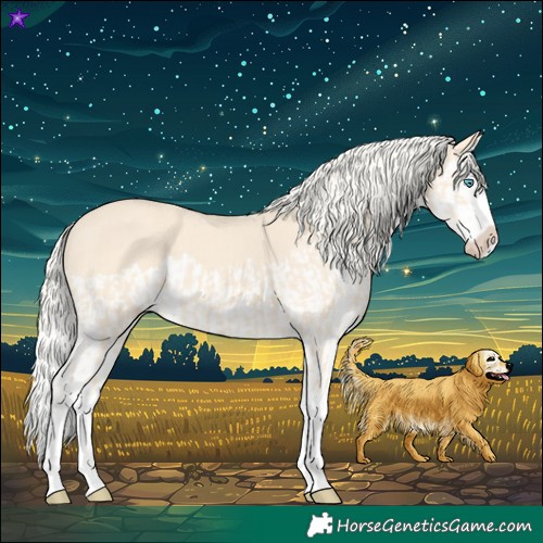 Horse Color:Cremello Splash and Cremello Splash