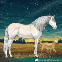 Horse Color:Cremello Splash  and Cremello Splash 