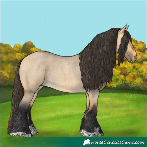 Horse Color:Buckskin Roan Dun