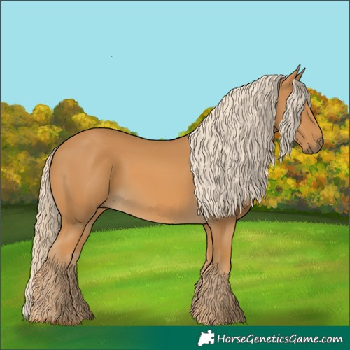 Horse Color:Palomino