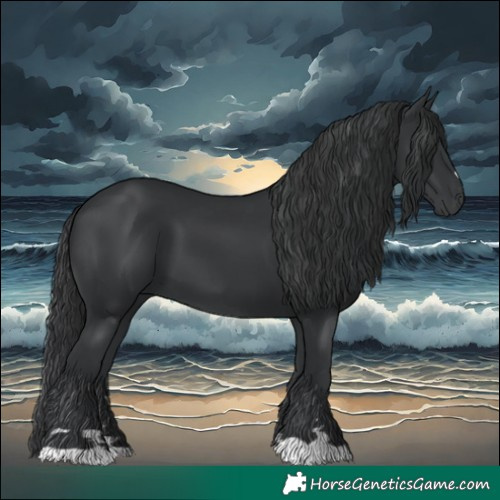 Horse Color:Black 