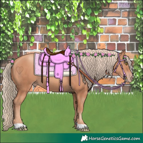Horse Color:Gold Champagne 