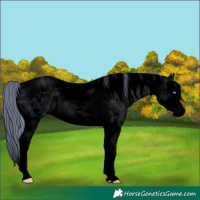 Horse Color:Void Watercolor Midnight Smoky Black Ice Splash Tobiano 