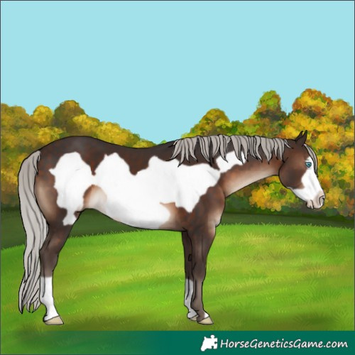 Horse Color:Silver Brown Frame