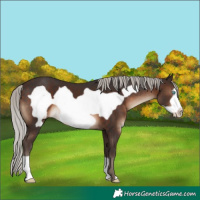 Horse Color:Silver Brown Frame 