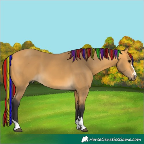 Horse Color:Painted Buckskin