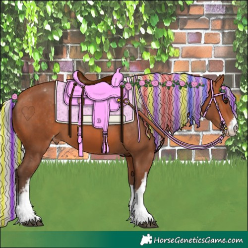 Horse Color:Painted White Spotted Silver Bay Appaloosa 