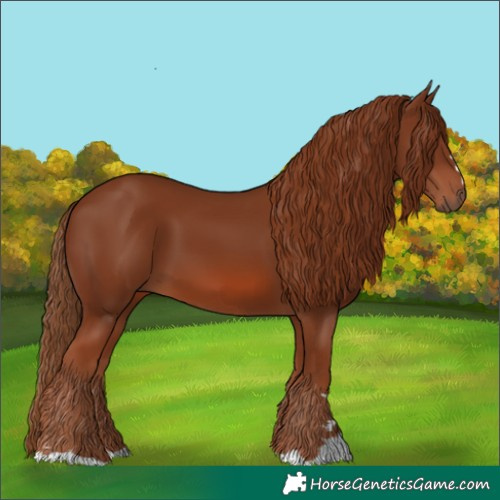 Horse Color:Chestnut 