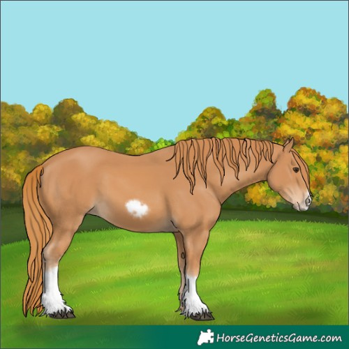 Horse Color:Chestnut Tobiano Frame 