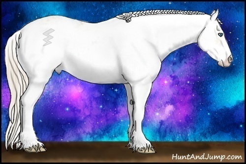 Horse Color:Perlino Sabino Brindle