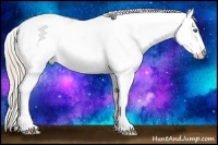 Horse Color:Perlino Sabino Brindle