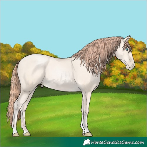 Horse Color:Amber Cream Champagne Pearl Tobiano 