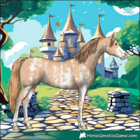 Horse Color:Gold Champagne Sabino