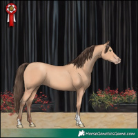 Horse Color:Amber Champagne Tobiano 