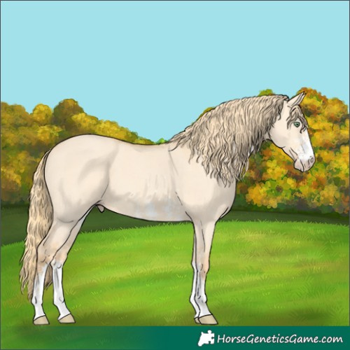 Horse Color:Gold Champagne Dun Sabino 