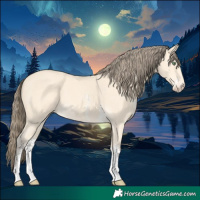 Horse Color:Amber Cream Champagne Sabino Varnish Rabicano 