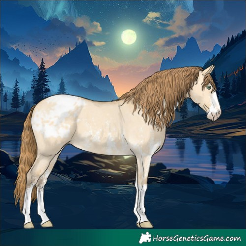 Horse Color:Amber Cream Champagne Dun Sabino Appaloosa 