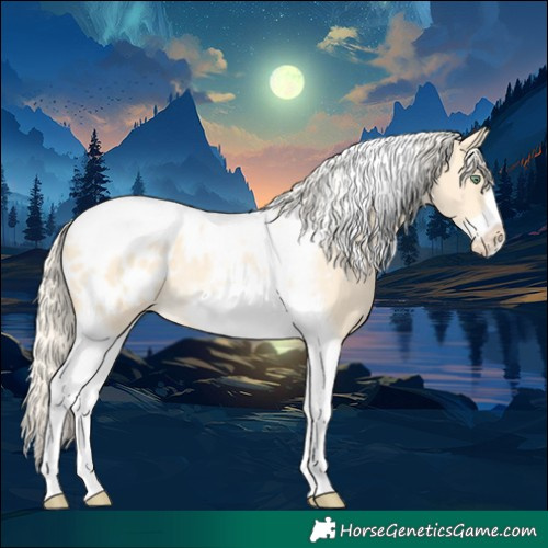 Horse Color:Gold Cream Champagne Dun Tobiano Frame Appaloosa Rabicano