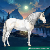 Horse Color:Gold Cream Champagne Dun Tobiano Frame Blanket Rabicano 