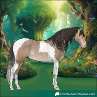 Horse Color:Amber Champagne Tobiano