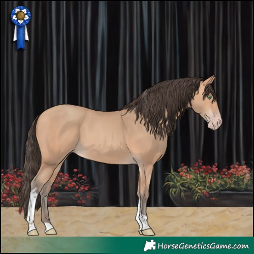 Horse Color:Amber Champagne Tobiano 
