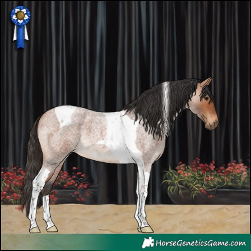 Horse Color:Bay Roan Tobiano 