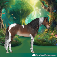 Horse Color:Brown Tobiano