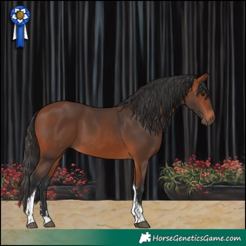 Horse Color:Bay Tobiano 