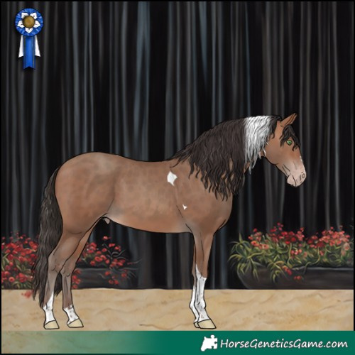 Horse Color:Sable Champagne Tobiano 