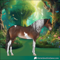 Horse Color:Brown Tobiano 