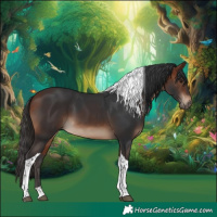Horse Color:Bay Tobiano