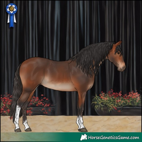 Horse Color:Bay Tobiano 