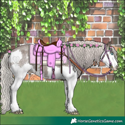 Horse Color:Silver Black Sabino Splash Skewed Appaloosa 
