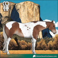 Horse Color:Silver Black Tobiano