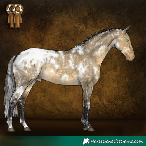 Horse Color:White Spotted Buckskin Dun Appaloosa 