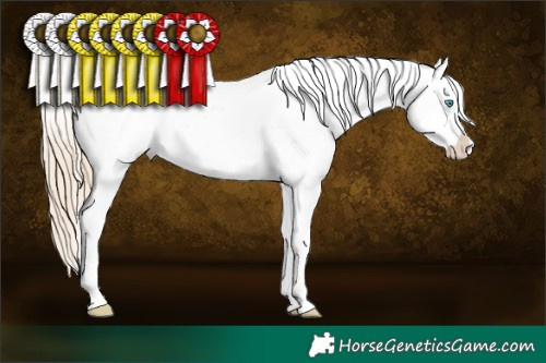 Horse Color:Perlino Sabino Snowflake Varnish  Brindle