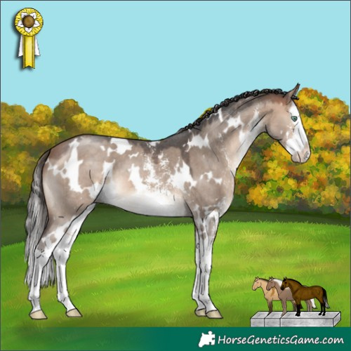 Horse Color:White Spotted Bay Dun Mushroom Sabino Splash