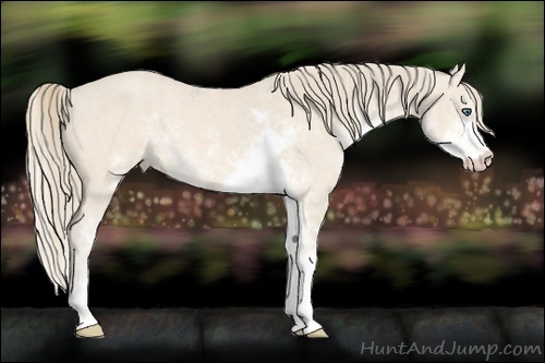 Horse Color:Perlino Sabino  Brindle