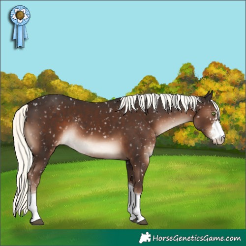 Horse Color:Liver Chestnut Mushroom Sabino Tobiano Snowflake Varnish Rabicano 